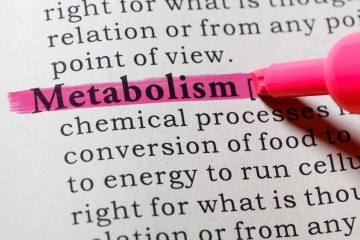 метаболизам