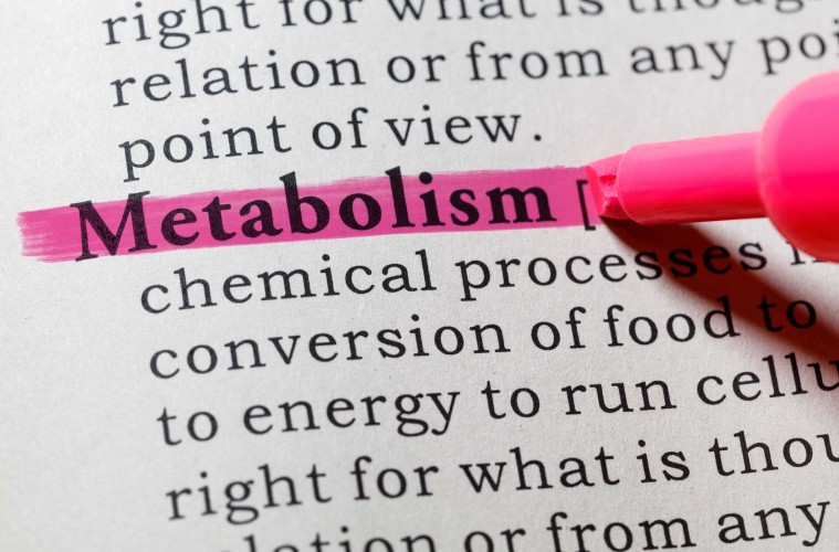 метаболизам